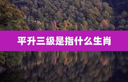 平升三级是指什么生肖