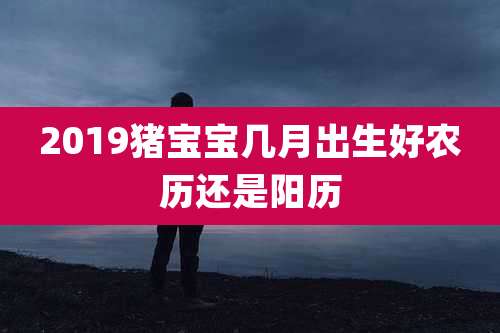 2019猪宝宝几月出生好农历还是阳历