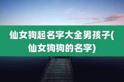 仙女狗起名字大全男孩子(仙女狗狗的名字)