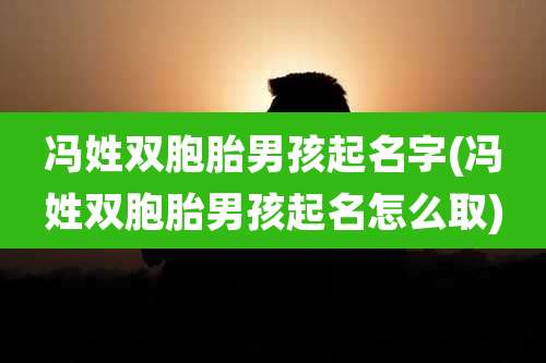 冯姓双胞胎男孩起名字(冯姓双胞胎男孩起名怎么取)