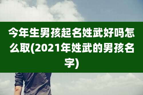 今年生男孩起名姓武好吗怎么取(2021年姓武的男孩名字)