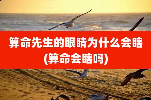 算命先生的眼睛为什么会瞎(算命会瞎吗)