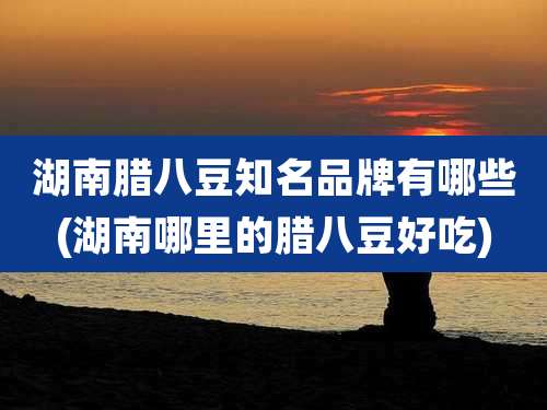 湖南腊八豆知名品牌有哪些(湖南哪里的腊八豆好吃)