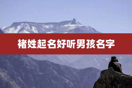 褚姓起名好听男孩名字