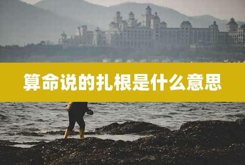 算命说的扎根是什么意思