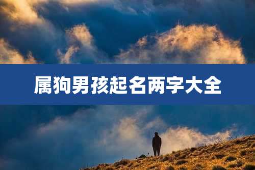 属狗男孩起名两字大全