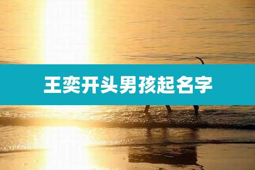 王奕开头男孩起名字