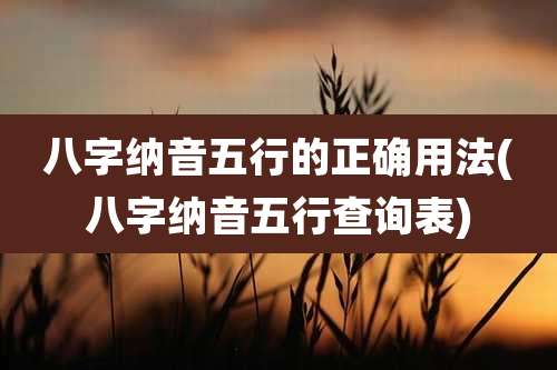 八字纳音五行的正确用法(八字纳音五行查询表)