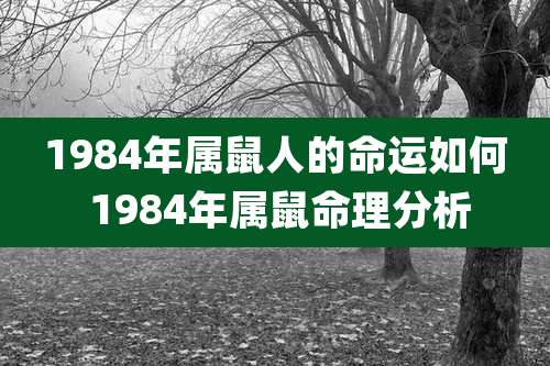1984年属鼠人的命运如何 1984年属鼠命理分析