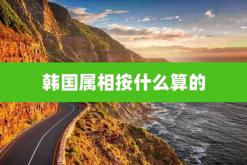 韩国属相按什么算的