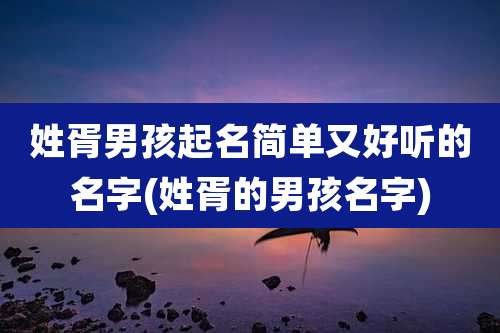 姓胥男孩起名简单又好听的名字(姓胥的男孩名字)