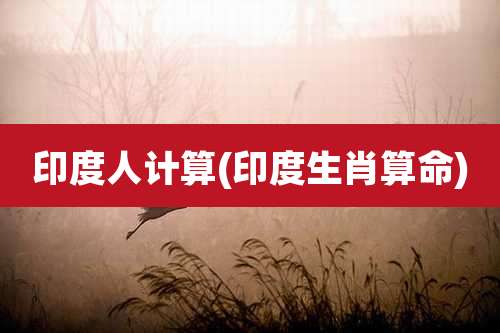 印度人计算(印度生肖算命)