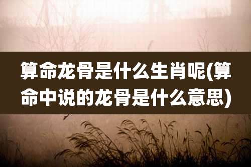 算命龙骨是什么生肖呢(算命中说的龙骨是什么意思)