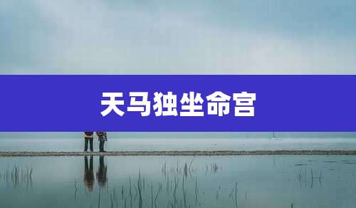 天马独坐命宫