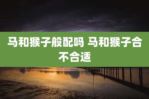 马和猴子般配吗 马和猴子合不合适