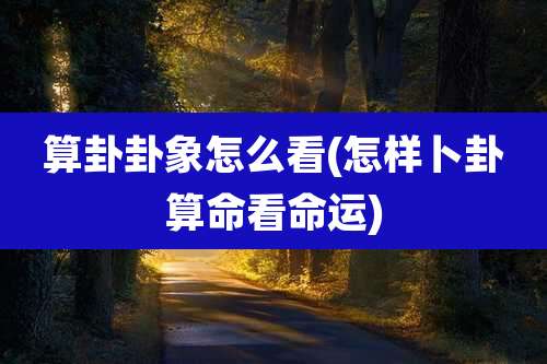 算卦卦象怎么看(怎样卜卦算命看命运)