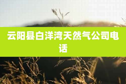 云阳县白洋湾天然气公司电话