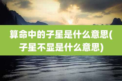 算命中的子星是什么意思(子星不显是什么意思)