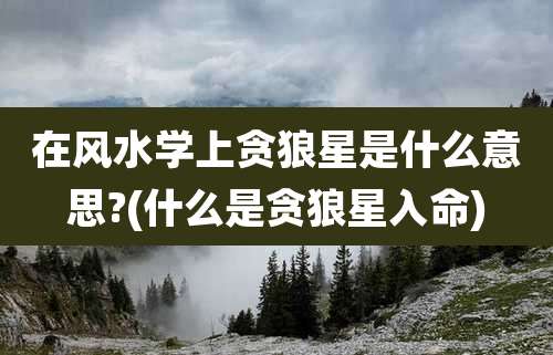 在风水学上贪狼星是什么意思?(什么是贪狼星入命)