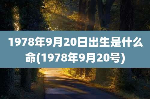 1978年9月20日出生是什么命(1978年9月20号)