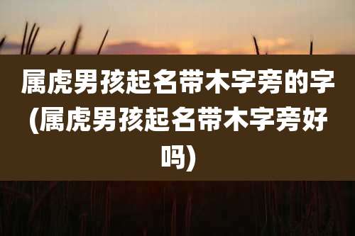 属虎男孩起名带木字旁的字(属虎男孩起名带木字旁好吗)