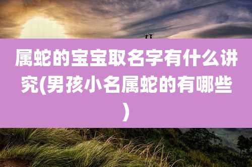 属蛇的宝宝取名字有什么讲究(男孩小名属蛇的有哪些)