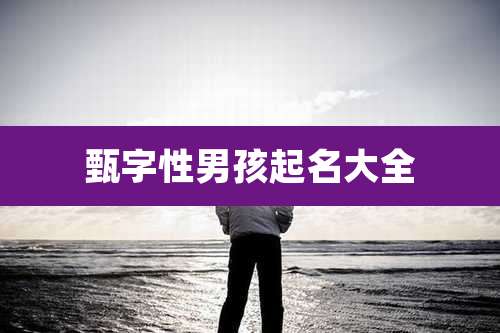 甄字性男孩起名大全