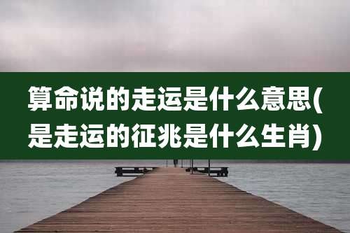 算命说的走运是什么意思(是走运的征兆是什么生肖)
