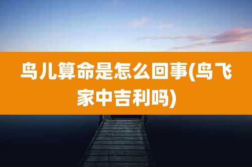 鸟儿算命是怎么回事(鸟飞家中吉利吗)