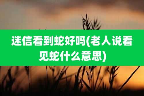 迷信看到蛇好吗(老人说看见蛇什么意思)