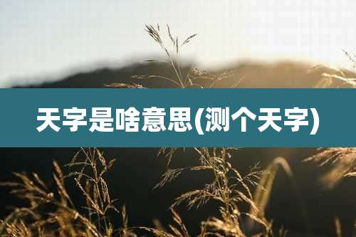 天字是啥意思(测个天字)