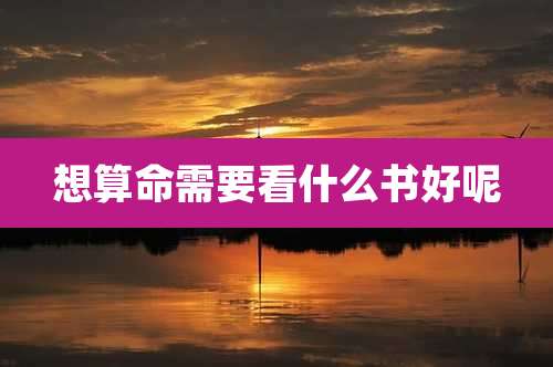 想算命需要看什么书好呢