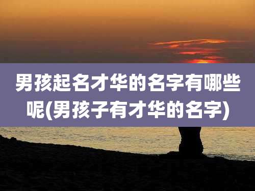 男孩起名才华的名字有哪些呢(男孩子有才华的名字)