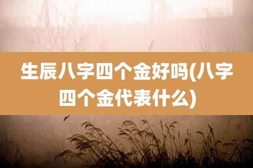 生辰八字四个金好吗(八字四个金代表什么)