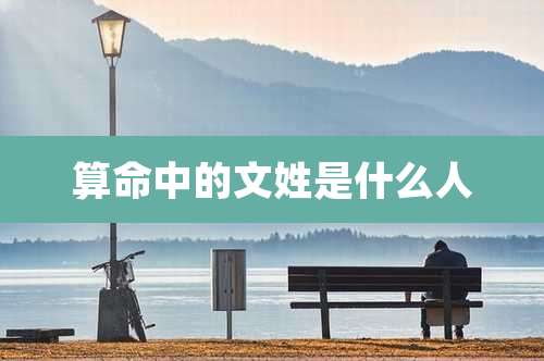 算命中的文姓是什么人