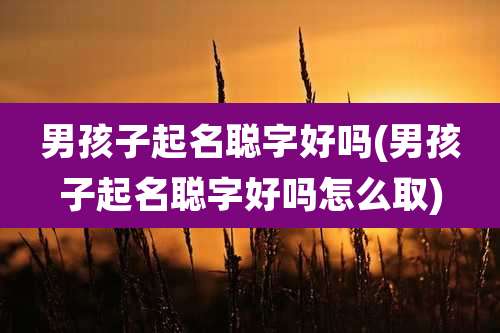 男孩子起名聪字好吗(男孩子起名聪字好吗怎么取)