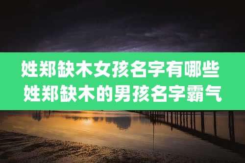 姓郑缺木女孩名字有哪些 姓郑缺木的男孩名字霸气