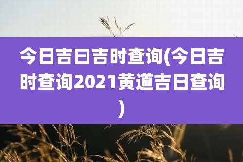 今日吉曰吉时查询(今日吉时查询2021黄道吉日查询)