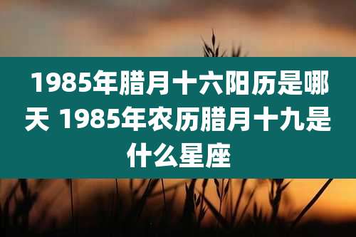 1985年腊月十六阳历是哪天 1985年农历腊月十九是什么星座