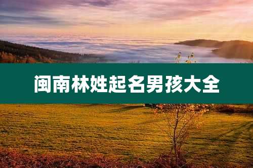 闽南林姓起名男孩大全