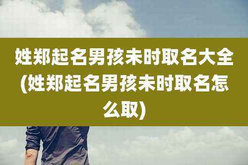 姓郑起名男孩未时取名大全(姓郑起名男孩未时取名怎么取)