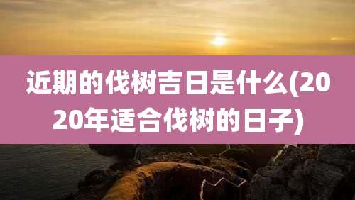 近期的伐树吉日是什么(2020年适合伐树的日子)
