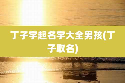 丁子字起名字大全男孩(丁子取名)