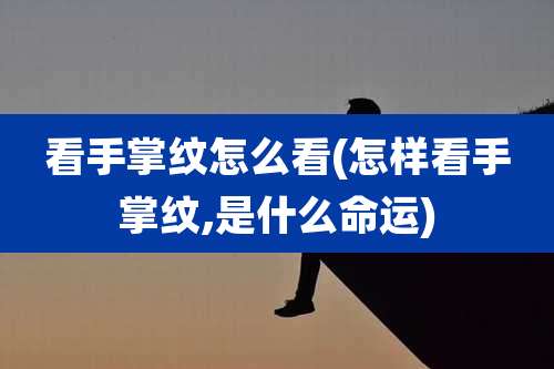 看手掌纹怎么看(怎样看手掌纹,是什么命运)