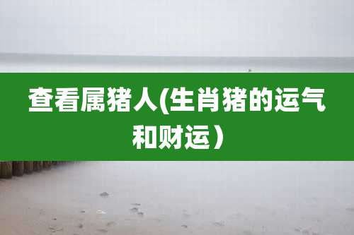 查看属猪人(生肖猪的运气和财运)