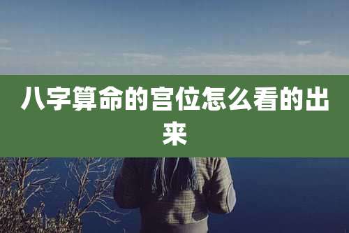 八字算命的宫位怎么看的出来