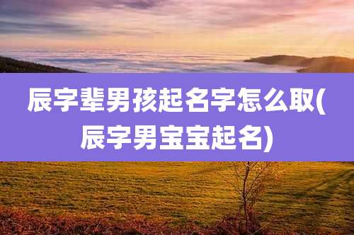 辰字辈男孩起名字怎么取(辰字男宝宝起名)