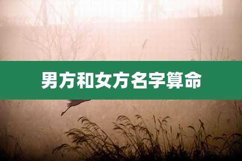 男方和女方名字算命