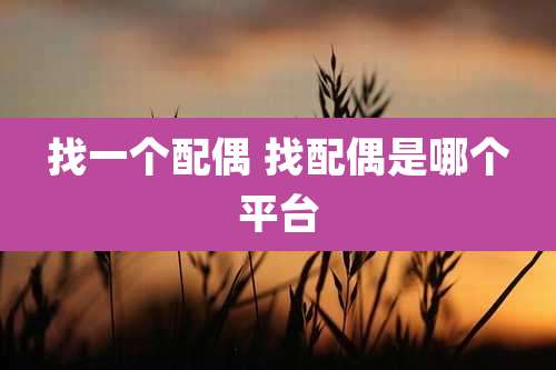 找一个配偶 找配偶是哪个平台