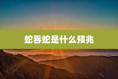 蛇吞蛇是什么预兆